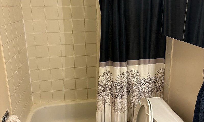 Large 2 Bedroom All ...