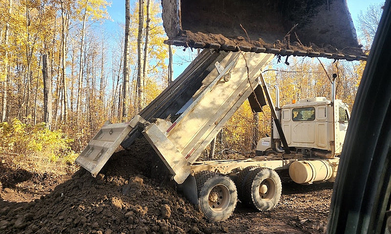 Slave Lake Spruce Po...