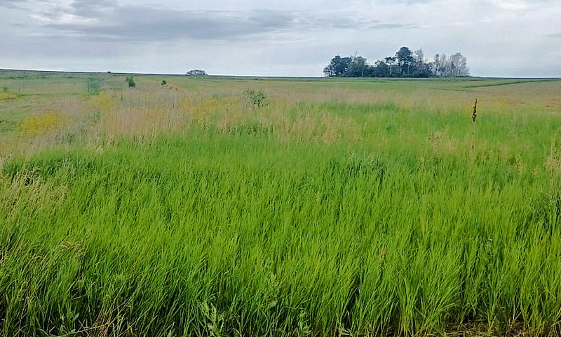 Sk Acreage Opportuni...