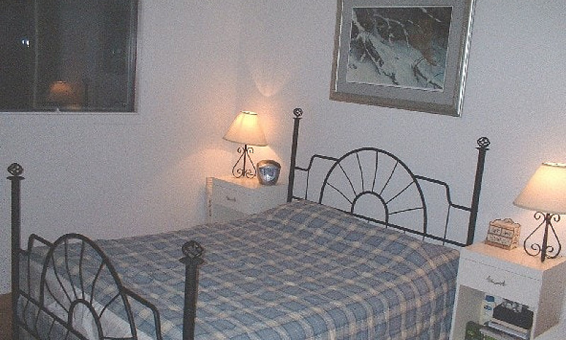 Free Huge Light Reno...