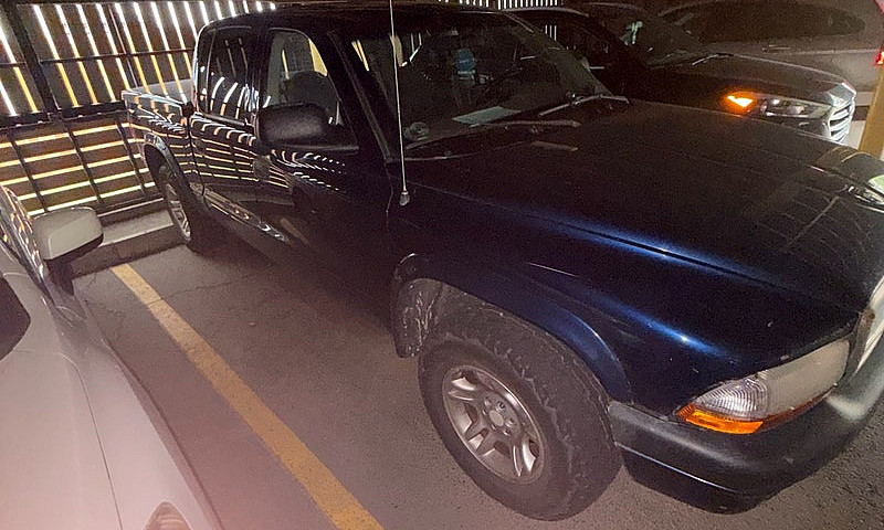 2004 Dodge Dakota Qu...