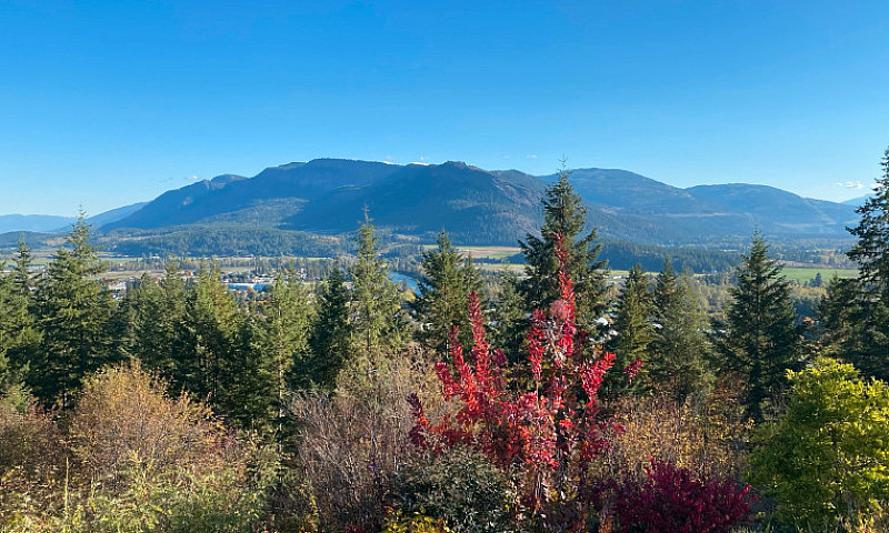 35 Acres In The Okan...