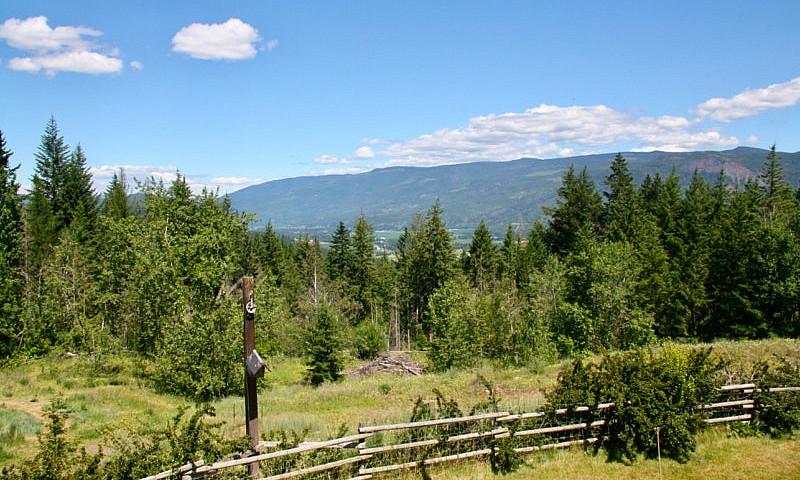 5.53 Acre Turnkey Ho...