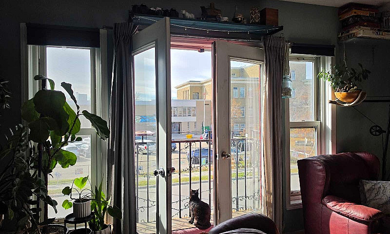 Condo In Inglewood F...