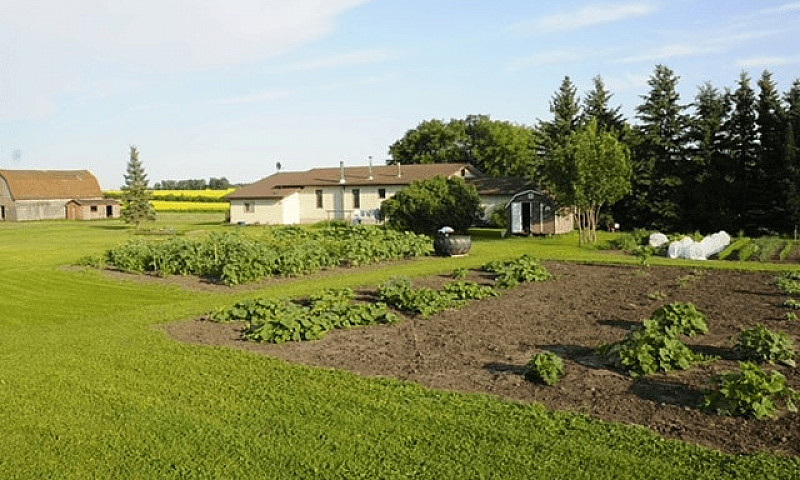 1,085 Acres For Sale...