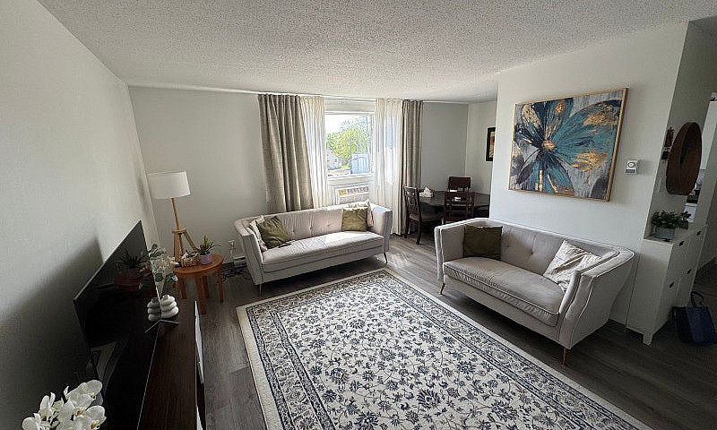 1-Bedroom Apartment ...