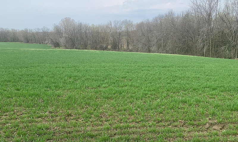180 Acre Farmland Fo...