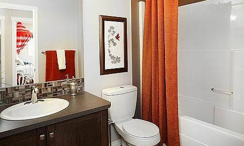 Fully Furnished  Bas...