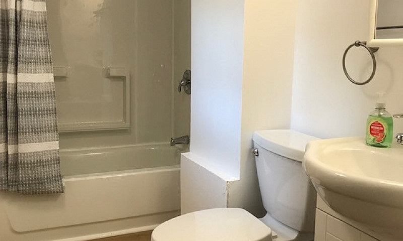 1 Bedroom Basement S...
