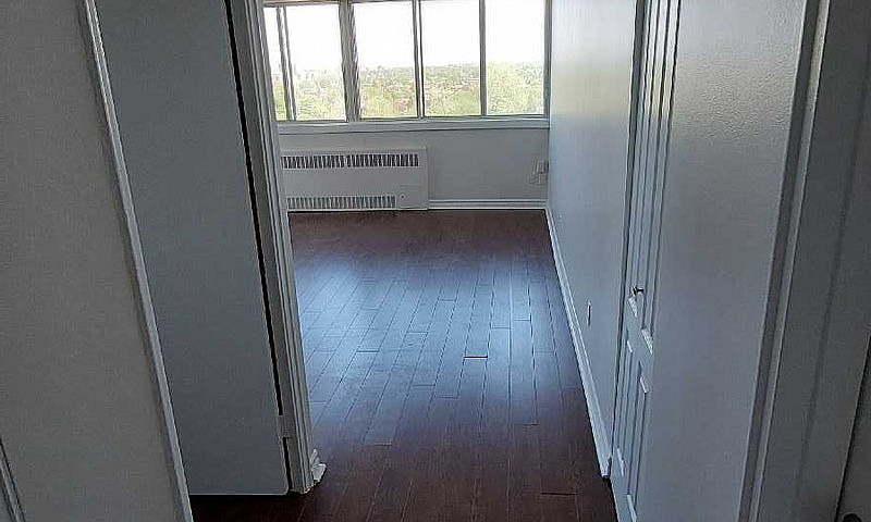 1 Bedroom Apartment ...