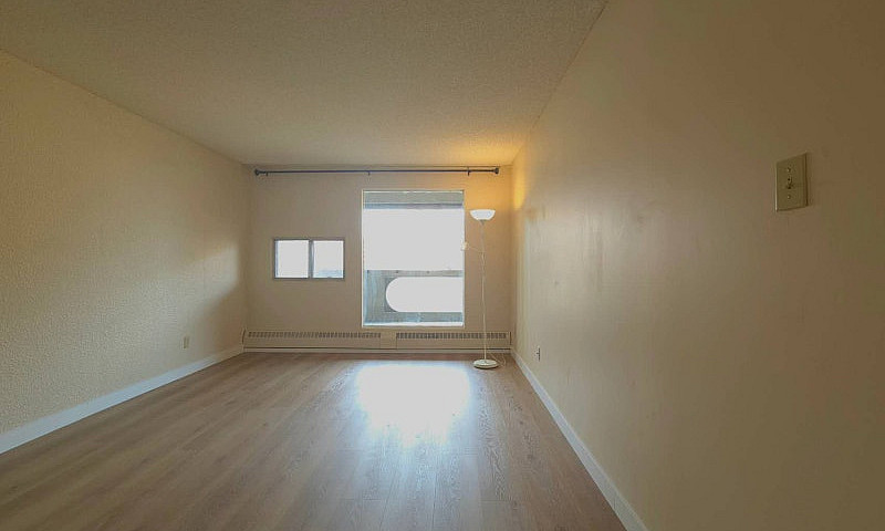 Downtown 1-Bedroom +...