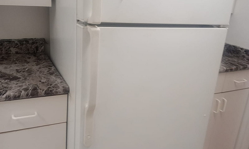 One-Bedroom Basement...