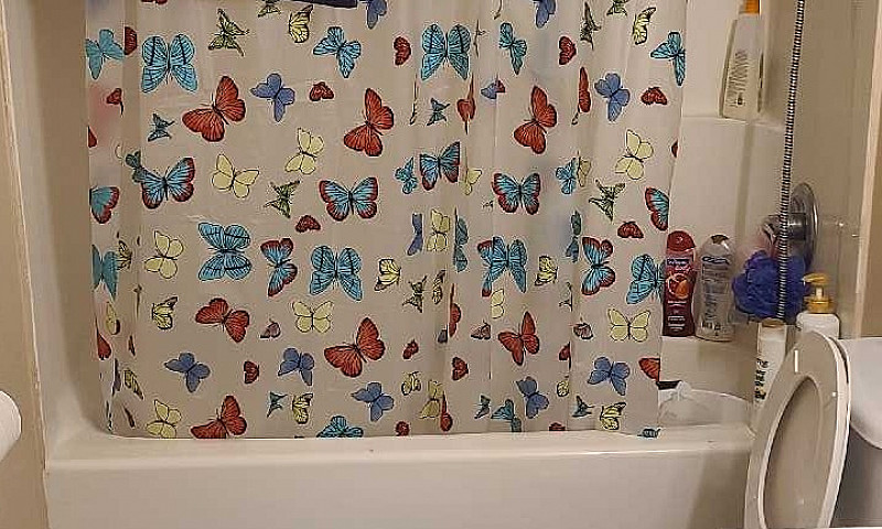 One Bedroom ...