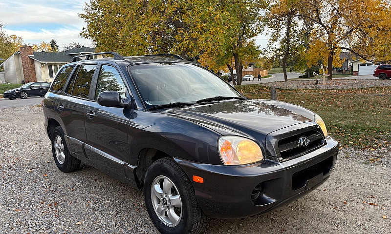 2006 Hyundai Sante F...