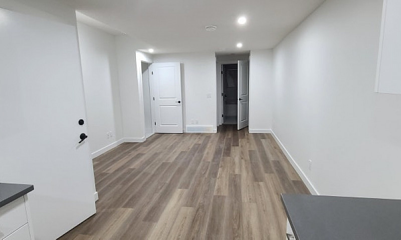 1 Bed 1 Bath Basemen...