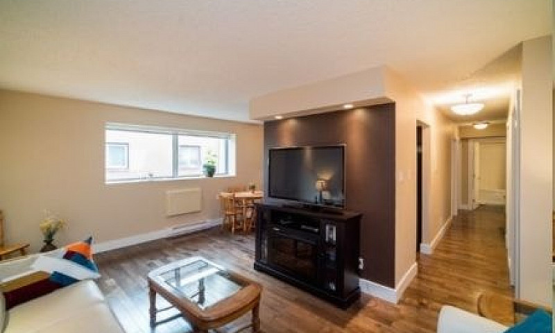 Remodeled 1 Bedroom ...