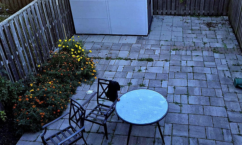1 Bdrm Ground Floor ...