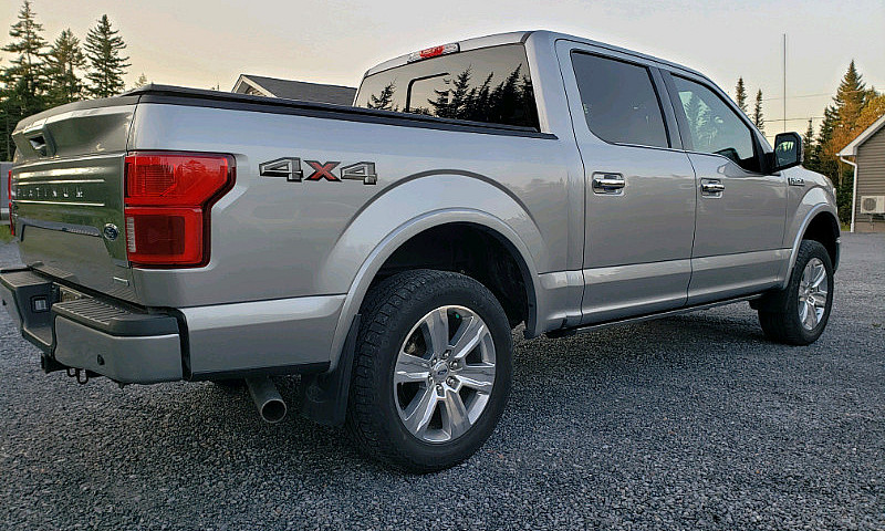 2020 F150 Platinum 4...