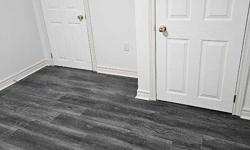 3 Bedroom Basement N...