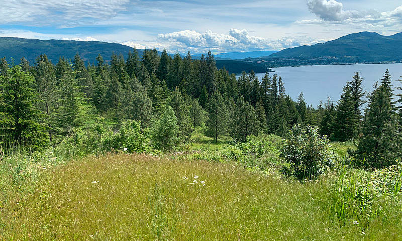 19 Acres Waterfront ...