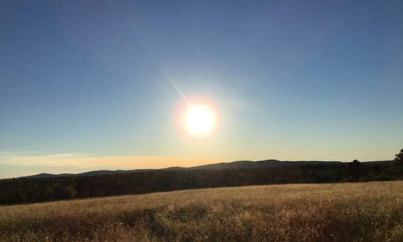 90 + Acres In Hoyt N...