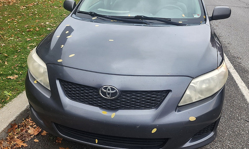 Toyota Corolla 2010...