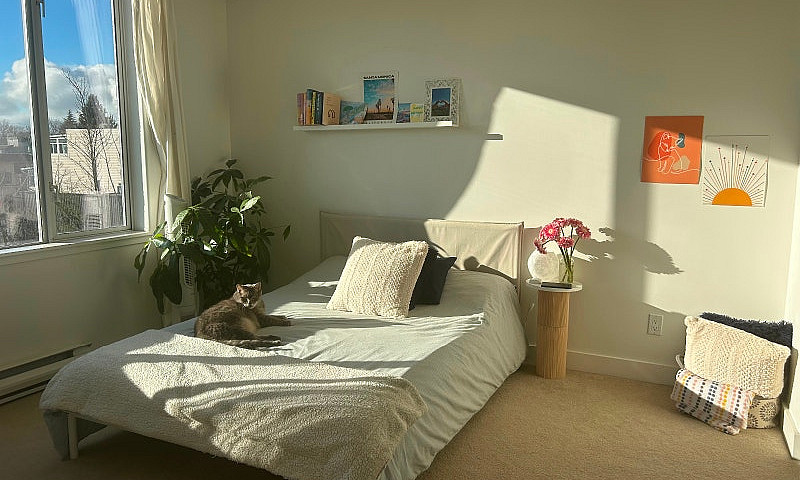 One Bedroom Condo - ...