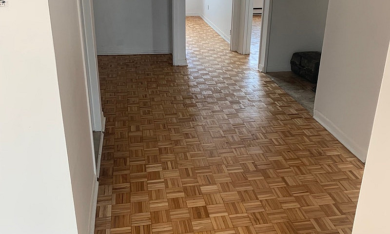 5 1/2   3 Chambres 2...