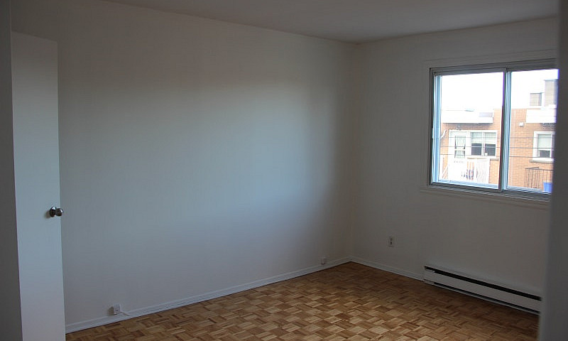 Renovated 3 Bedroom ...