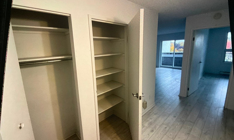 Logement À Louer 3 1...