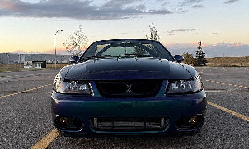 2004 Ford Mustang Co...