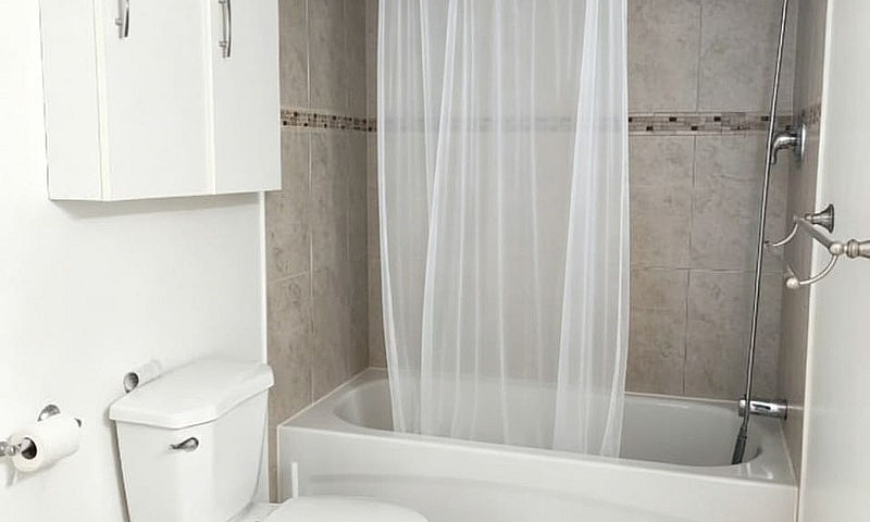 Furnished 1Br Baseme...