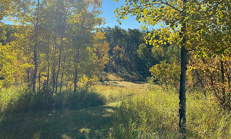 1.64 Acres By Clear ...