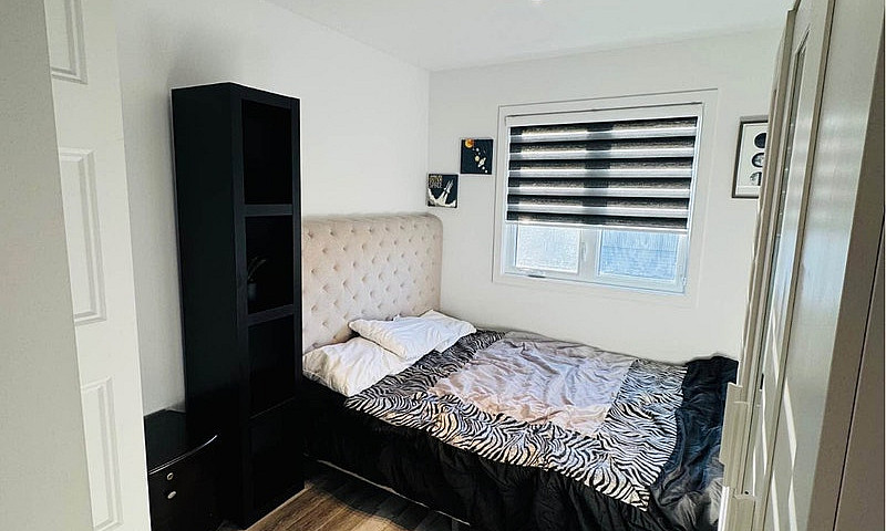 Fully Furnished All-...