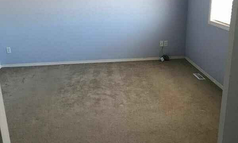 3 Beds 2.5 Baths - H...