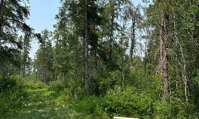Land For Sale...