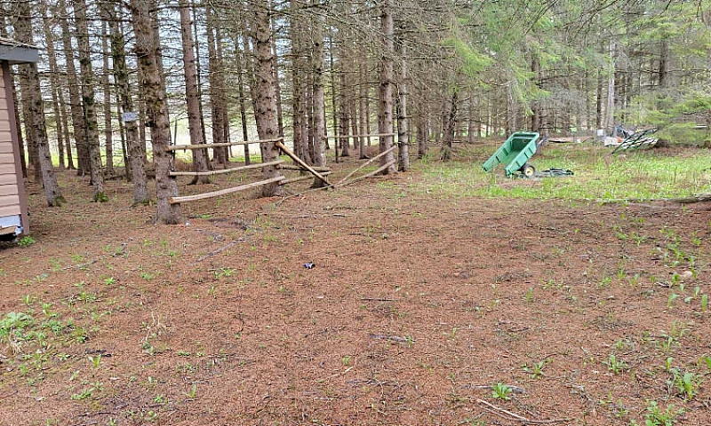 24 Acres For Sale...