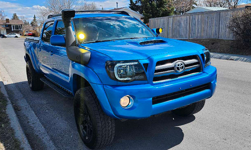 2010 Tacoma Trd Doub...