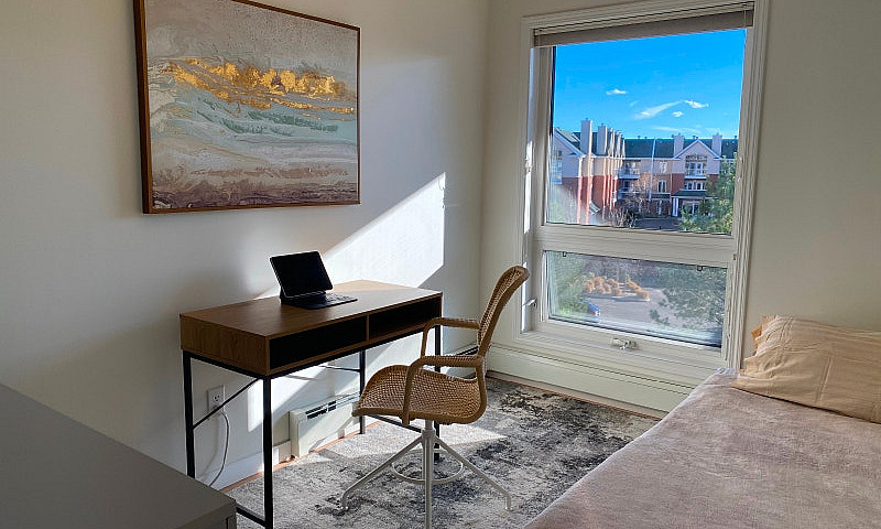 Furnished Luxury Con...