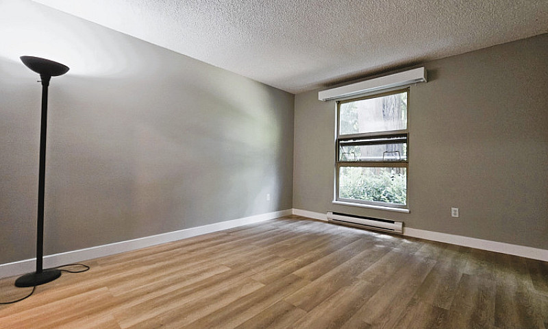 Large Renovated One ...