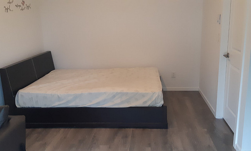 One Bedroom Suite Fu...