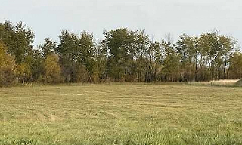 70 Acres For Sale In...
