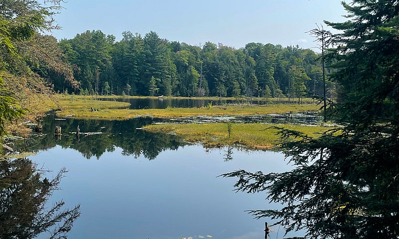 212 Acres Muskoka La...