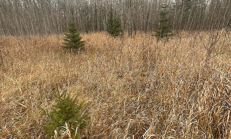 Land For Sale...