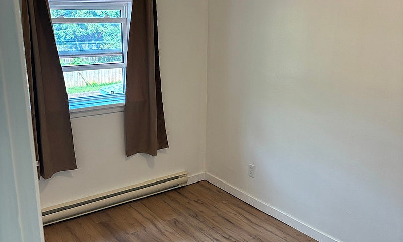 1 Bedroom Apartment ...