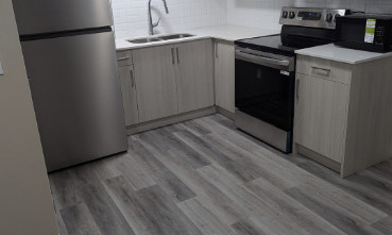 1 Bedroom Basement F...