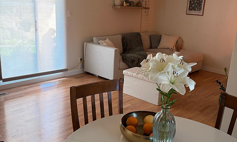 Open House - Sunday ...