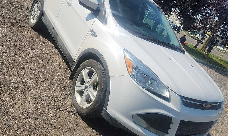 Ford Escape...