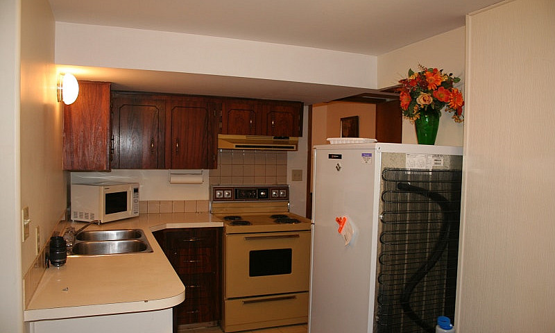 *1 Bedroom Basement ...
