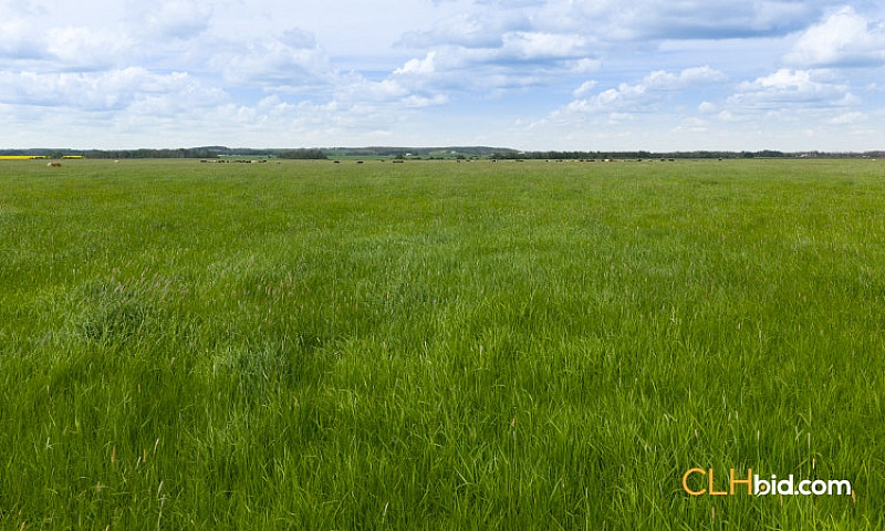 160 Acres Farm Land ...